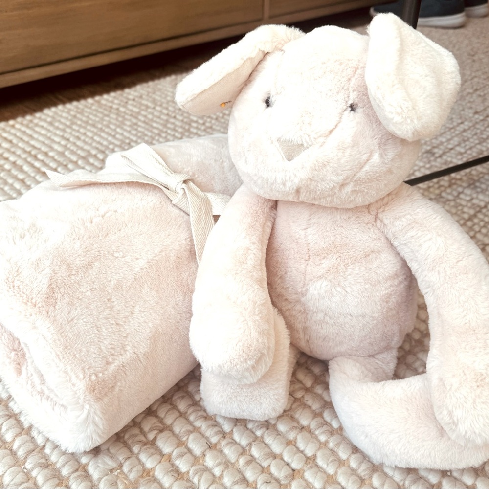 Pottery Barn Kids Cozy Plush Bunny & Blanket Set